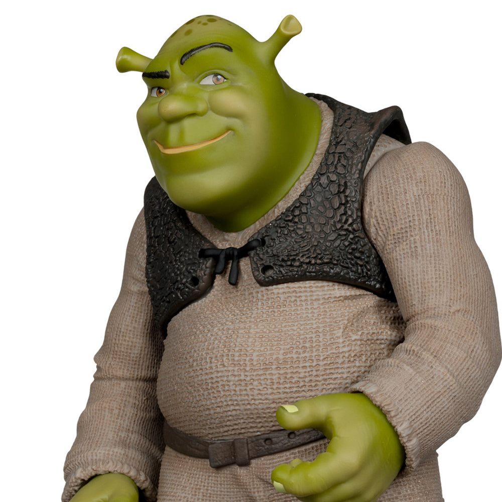 Shrek (Movie Maniacs: Shrek) 12" Posed Figure w/Digital Collectible Exclusive Gold Label