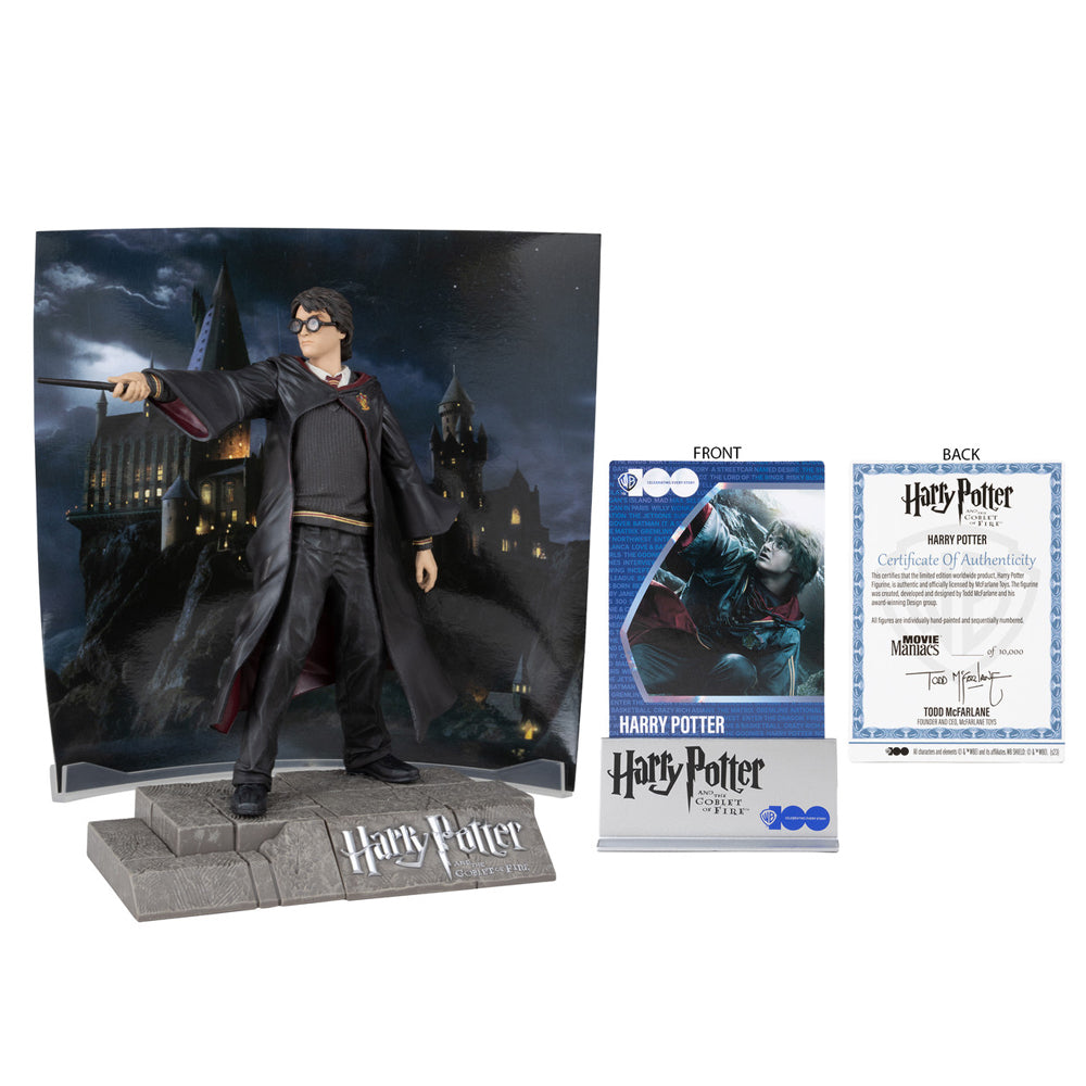 Harry Potter (WB 100: Movie Maniacs) 6" Posed Figure