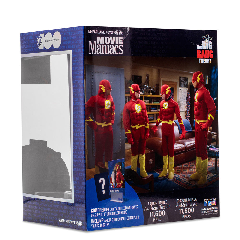 Sheldon Cooper as Flash from The Big Bang Theory (WB 100: Movie Maniacs) 6" Posed Figure