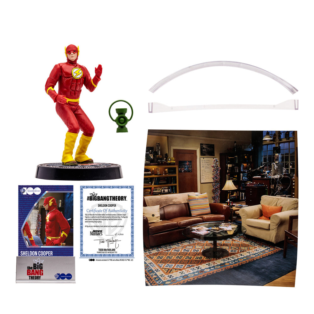 Sheldon Cooper as Flash from The Big Bang Theory (WB 100: Movie Maniacs) 6" Posed Figure