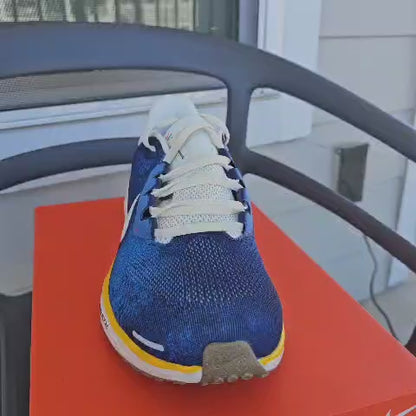 Nike Air Zoom Pegasus 41 IB7723-492 Men’s Running Shoes Blue